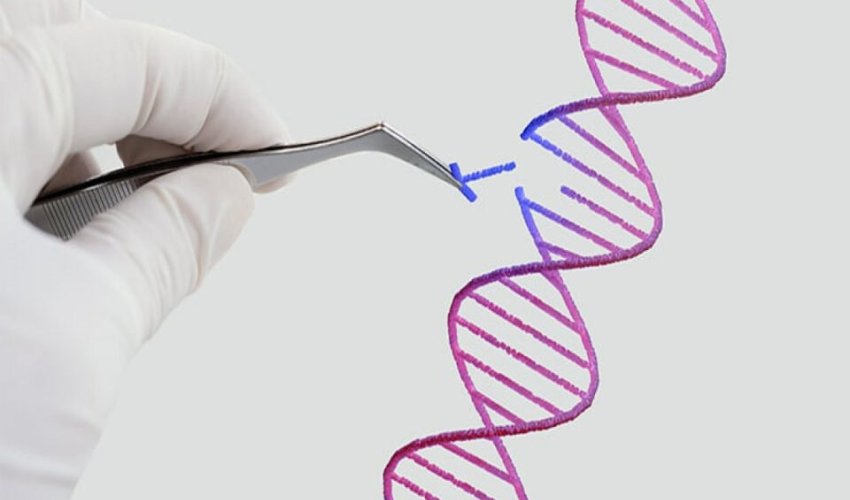 İnsanın klonu patent obyekt kimi qəbul edilməyəcək