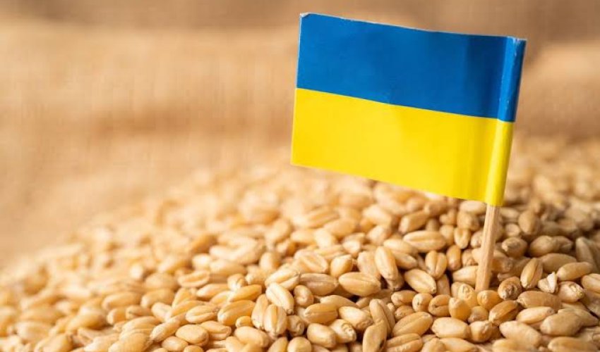 Молдова снимет ограничения на импорт зерна из Украины
