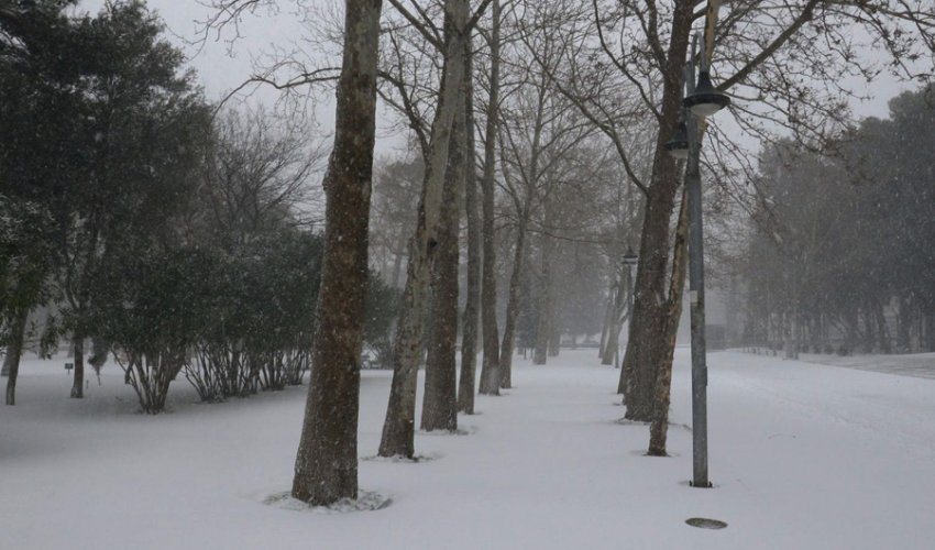 Sabahın hava proqnozu açıqlanıb