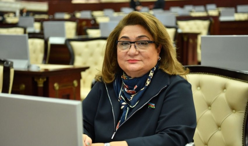 Sosial şəbəkələrdə etikaya zidd məlumatlar yeniyetmələr üçün təhlükədir - Deputat