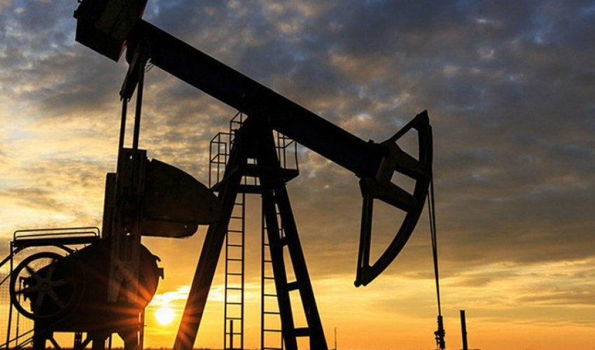 TAP gas orders to Europe rise at several exit points