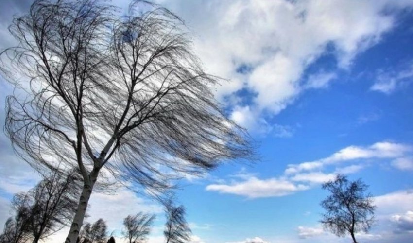 Bakıda və bölgələrdə külək güclənəcək - XƏBƏRDARLIQ