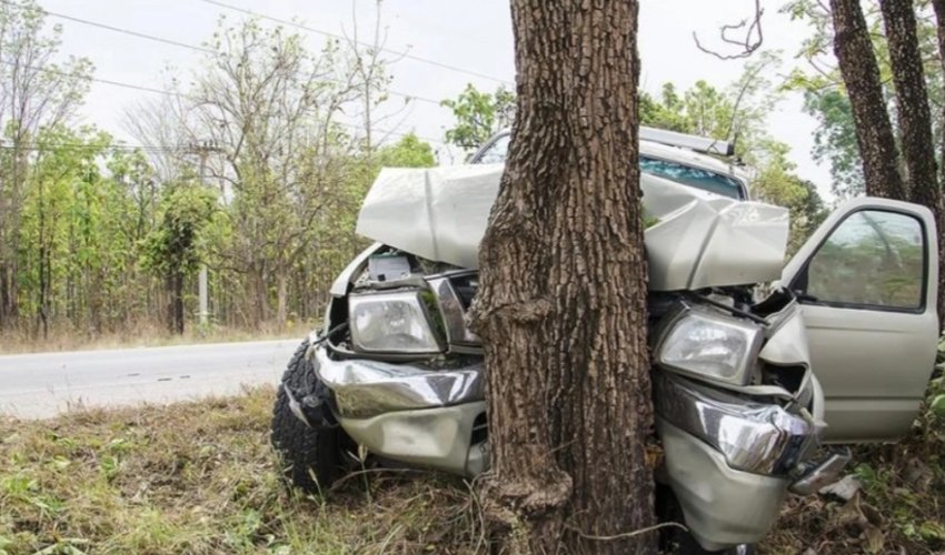 Qaxda avtomobil ağaca çırpılıb, sürücü ölüb