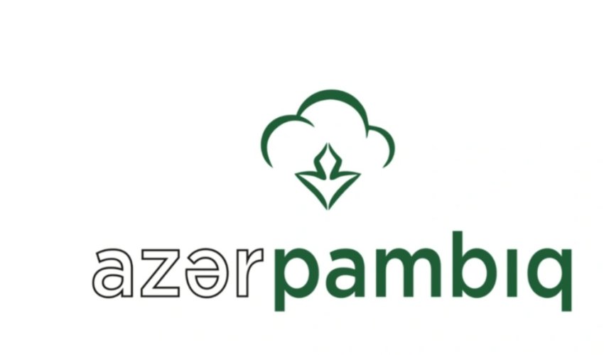 Azərpambıq MMC-nin ixrac gəlirləri 11 ayda 30,6% azalıb