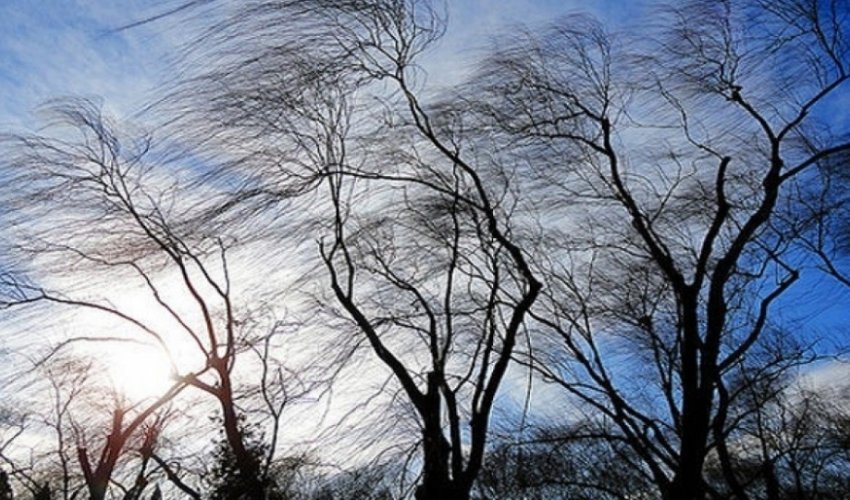 Yeni ilin ilk gününün hava proqnozu açıqlanıb