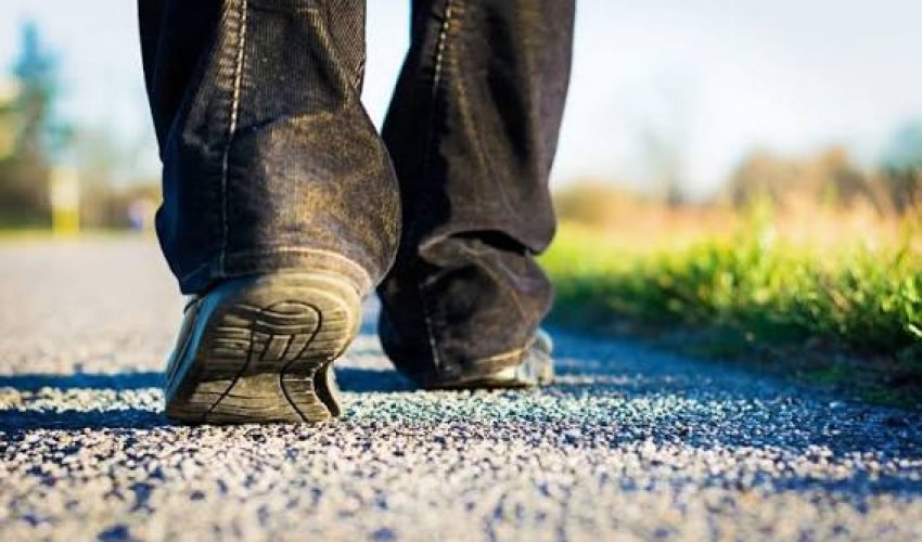 МВД: За минувшие сутки найдены пятеро пропавших без вести