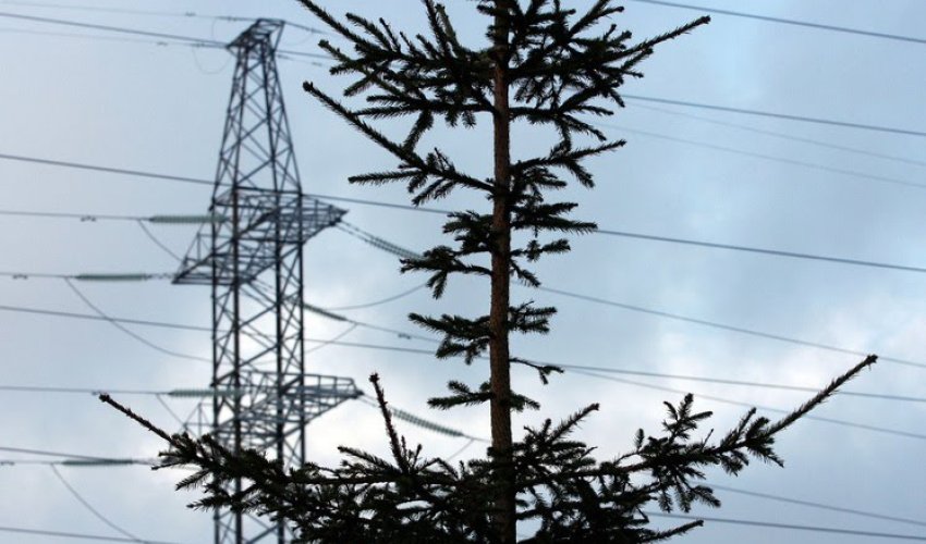 В Краснодарском крае РФ десятки тысяч жителей остались без света