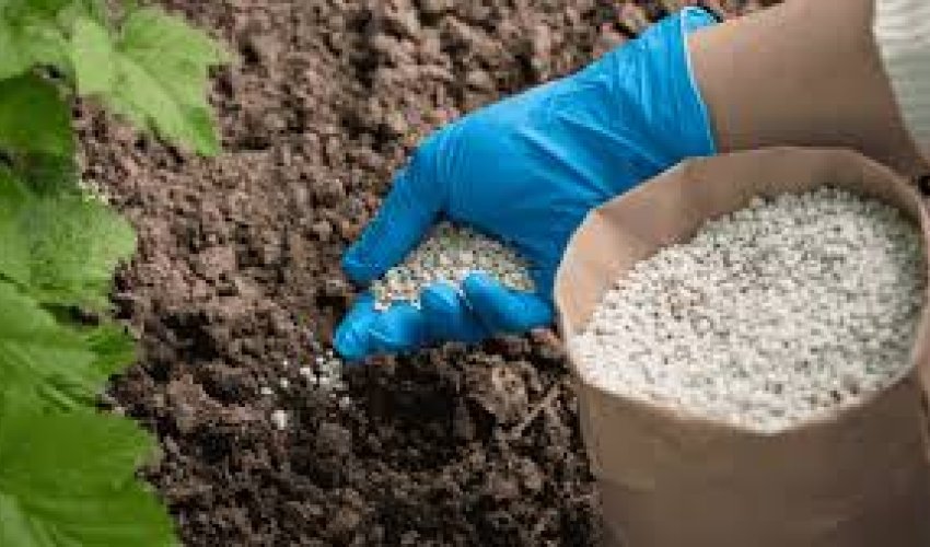 
Azərbaycan gübrə ixracından qazancını 45 %-ə yaxın artırıb