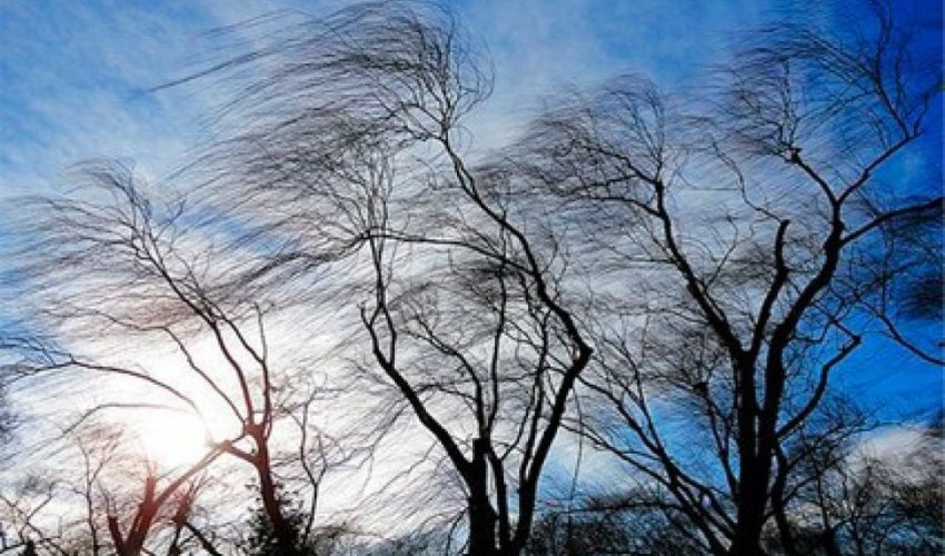 Küləkli hava şəraiti ilə bağlı sarı XƏBƏRDARLIQ