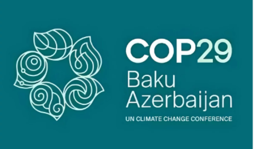 Операционная компания COP29 в Азербайджане ликвидирована