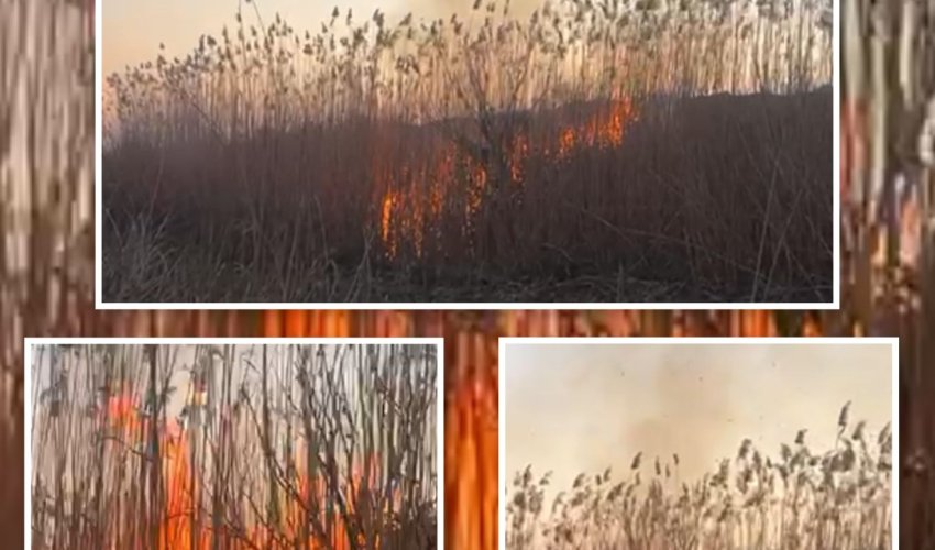 Cəbrayılda yanğın törədən şəxs həbs edilib