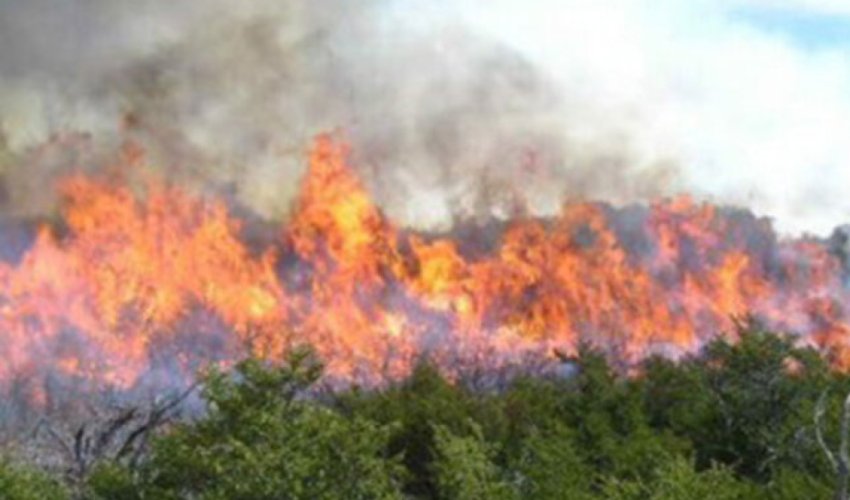 Cəbrayıl və Füzulidəki yanğınlar söndürülüb