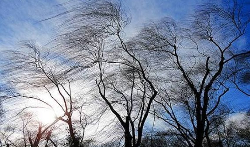 Sabahın hava proqnozu