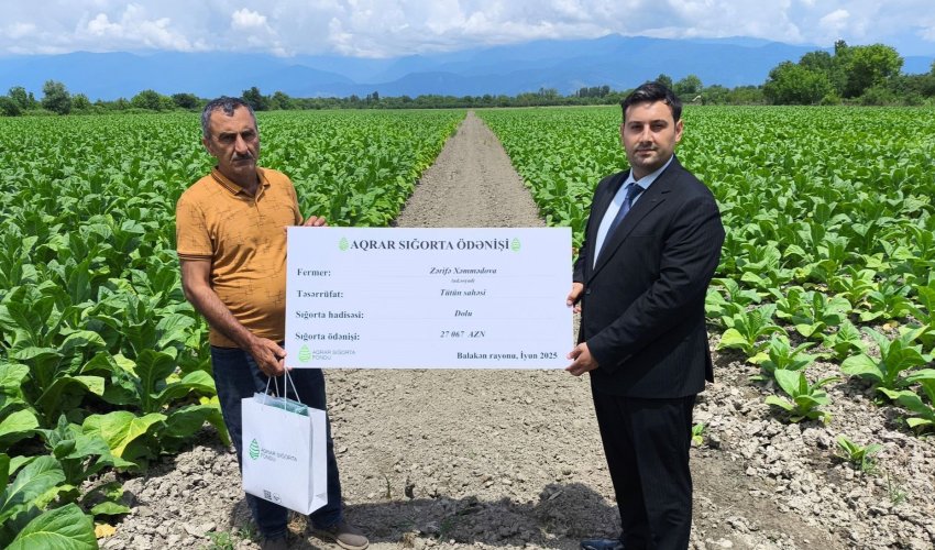 Ötən il fermerlərə nə qədər sığorta ödənişi edilib? - Rəsmi