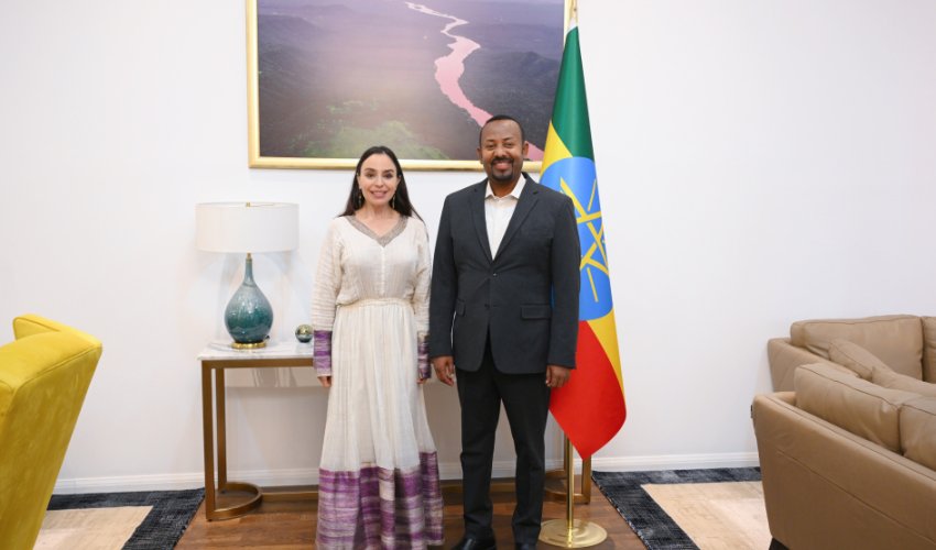 Лейла Алиева встретилась с премьер-министром Эфиопии