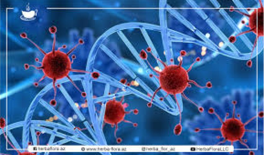 Azərbaycanda onkoloji yardım özəl tibb müəssisələrində də göstəriləcək