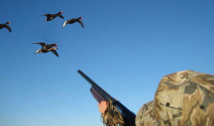 
Qaradağda qanunsuz ov edən şəxslər saxlanılıb