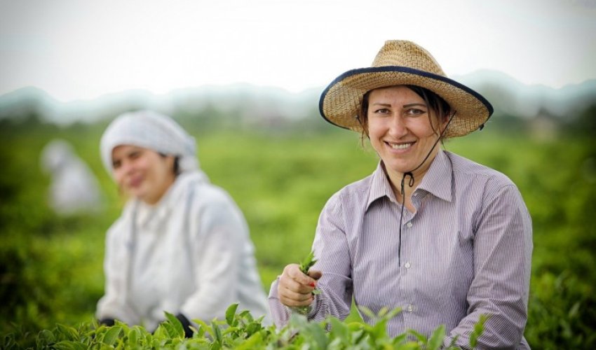 Deputat: Fermerlər üçün uzunmüddətli və aşağıfaizli kreditlər qanunla tənzimlənməlidir