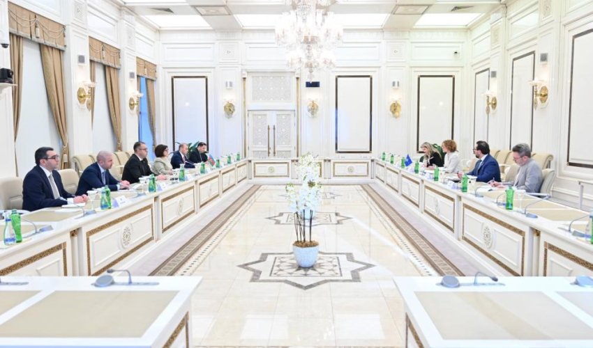 Sahibə Qafarova NATO Baş katibinin müavini ilə görüşdü