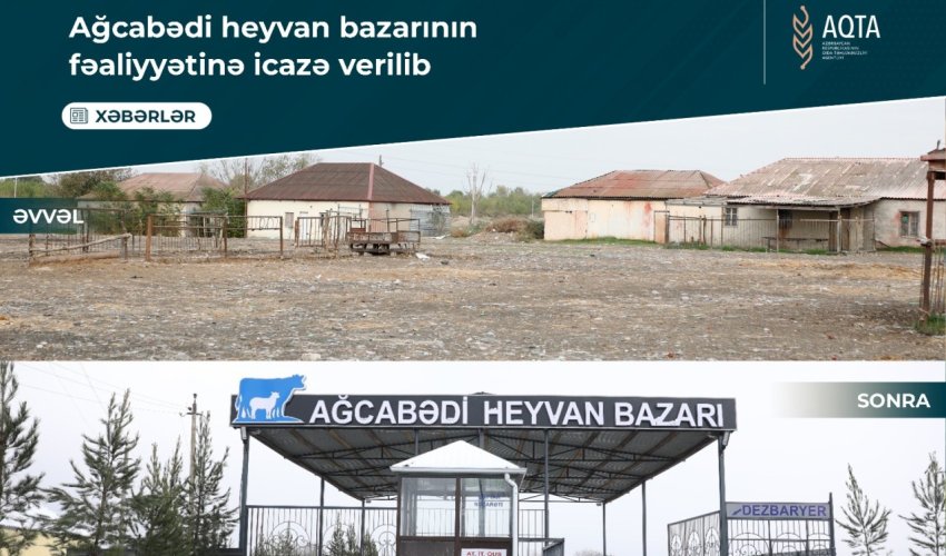 Ağcabədi heyvan bazarının fəaliyyətinə icazə verilib