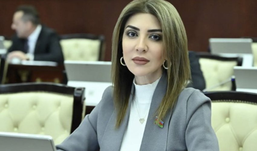 Günay Ağamalı Ana Vətən Partiyasının sədri seçildi