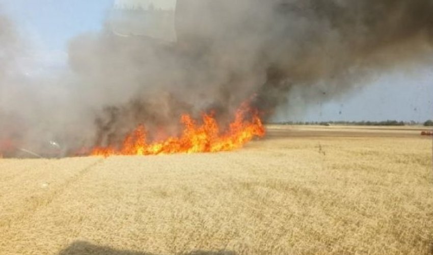 
Əkin yerinin yandırılmasına görəyeni cərimələr tətbiq olunub
