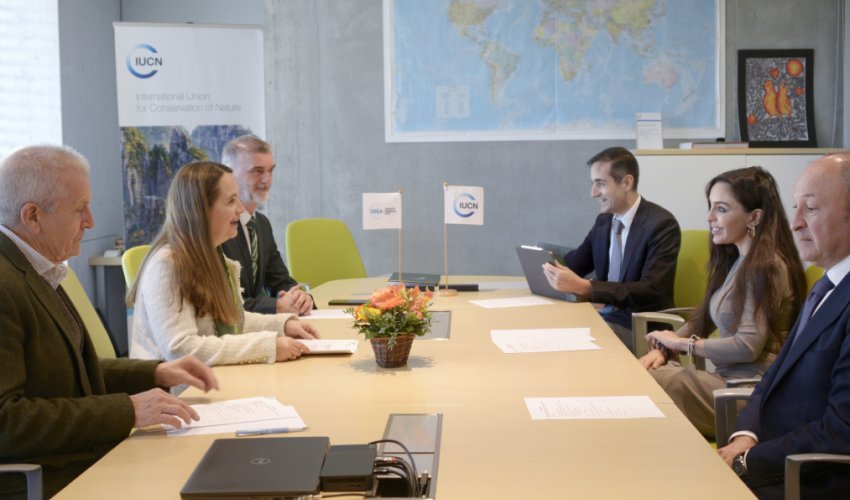 Лейла Алиева и Гретель Агилар обсудили в Швейцарии возможности сотрудничества