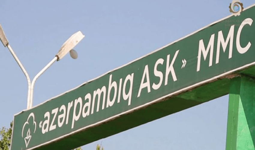 &ldquo;Azərpambıq&rdquo;ın ixrac gəliri 2025-ci ildə 31% azalıb