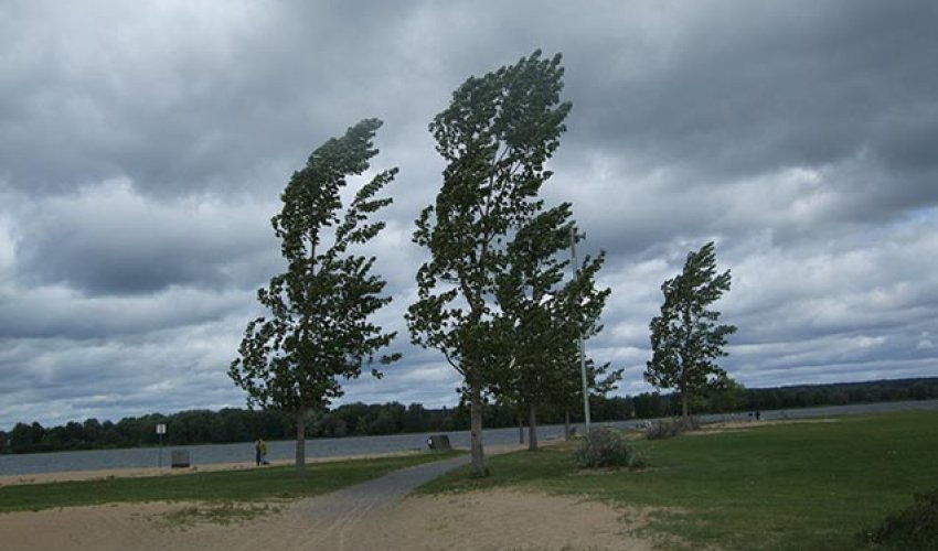 Küləklə bağlı sarı xəbərdarlıq edilib