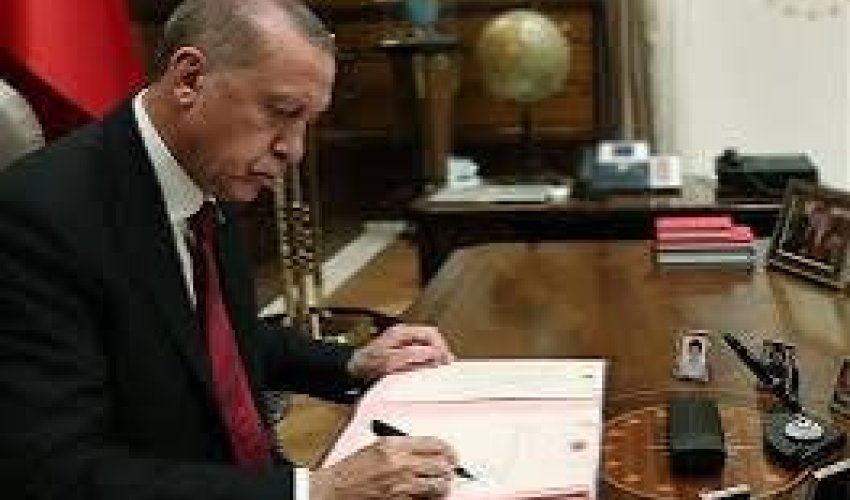 Эрдоган назначил себе главного советника