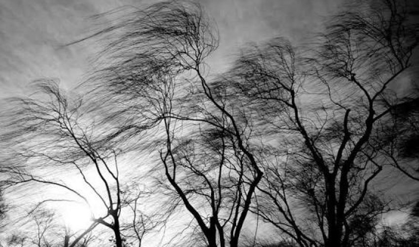 Bəzi rayonlarda güclü külək əsir - FAKTİKİ HAVA