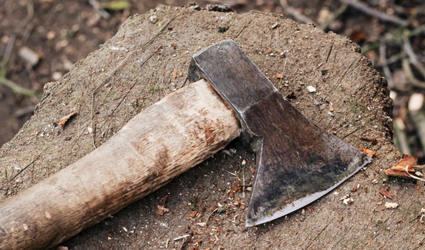 Əminin qardaşı uşaqlarını baltalaması ilə bağlı cinayət işi başlanıb