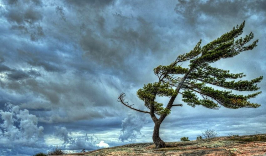 Növbəti üç gündə intensiv yağış və qar yağacaq - XƏBƏRDARLIQ