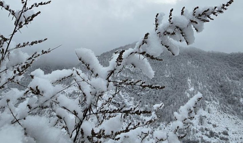 Bu gecə Bakıya qar yağacaq, yollar buz bağlayacaq