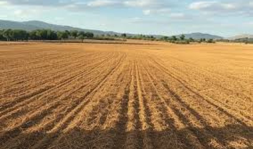 Torpaqların idarə olunmasında pozuntular aşkar olunub