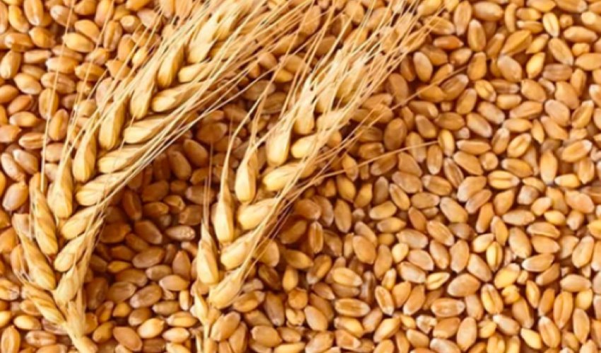 Russian Railways says grain shipments to Armenia via Azerbaijan become regular