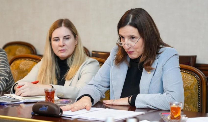 Посол Евросоюза отправилась в Нахчыван