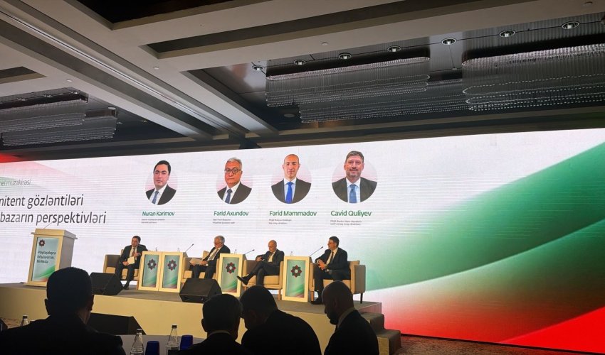 Azerbaijan may privatise state firms via capital markets, BSE chair says