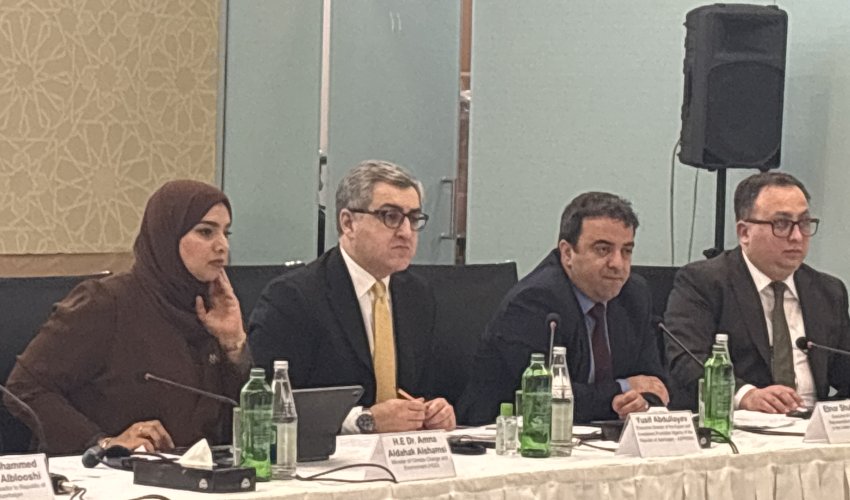 Azərbaycan&ndash;BƏƏ biznes əməkdaşlığı üçün böyük potensial var &ndash; Yusif Abdullayev