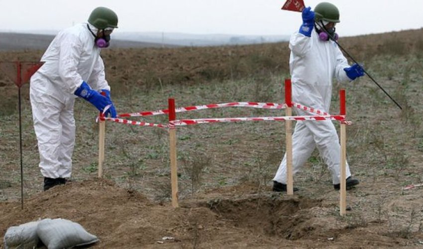 Bir həftədə necə hektar ərazi minadan təmizlənib?