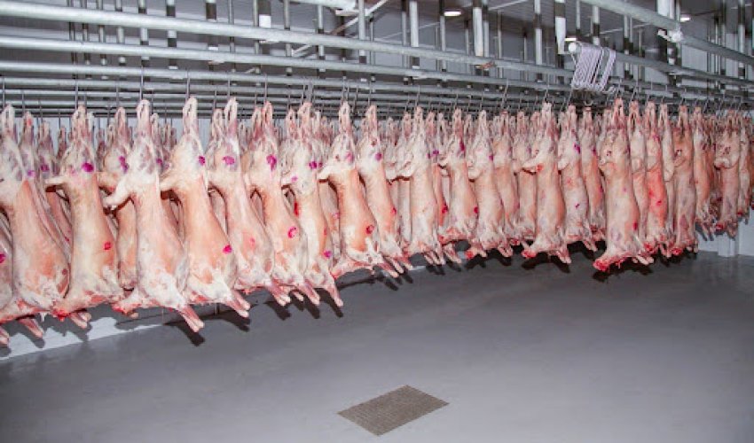 Азербайджан увеличил импорт монгольской баранины