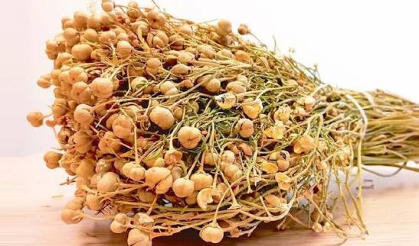 Üzərliklə bağlı daha bir - Xəbərdarlıq