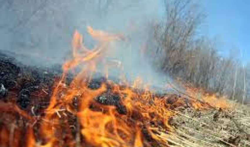 Cocuq Mərcanlı yaxınlığında açıq ərazidə yanğın baş verib