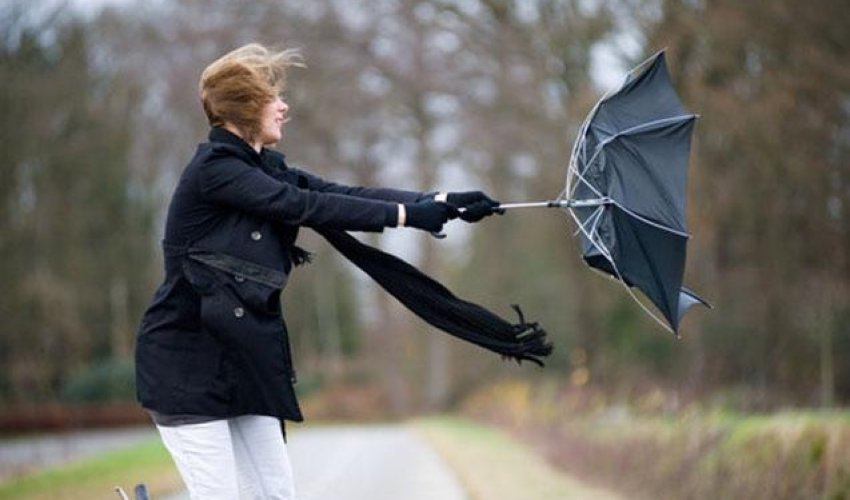 В Баку и на Абшероне усилился ветер, в регионах наблюдается туман