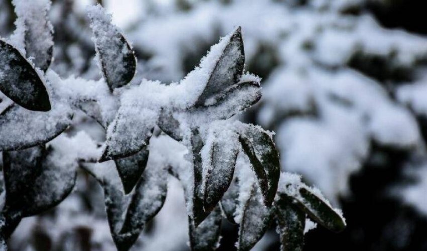 Dağlıq ərazilərdə qar yağacaq - Xəbərdarlıq