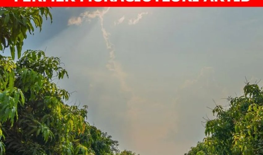 Azərbaycanda qeyri-sabit hava şəraiti aqrar sığorta müraciətlərini artırıb