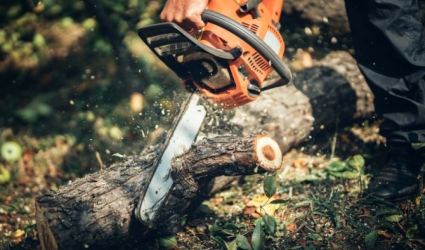 Son 1 həftədə təbiətə 73 mindən çox ziyan vurulub