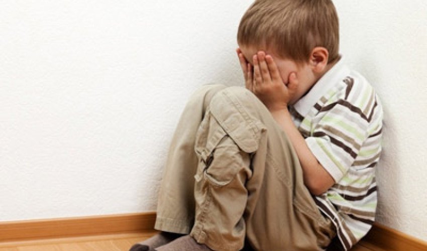 Deputat irad bildirdi: bu çox təhlükəli qanundur