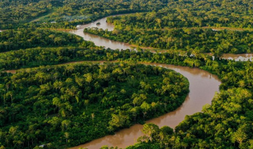 Planetin &ldquo;ağciyərləri&rdquo; təhlükə altındadır - beynəxalq meşələr günü...