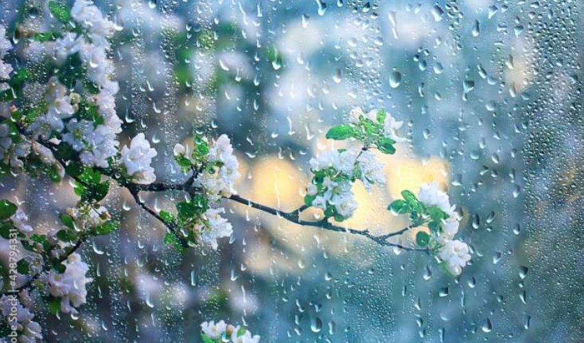 Sabahın hava proqnozu